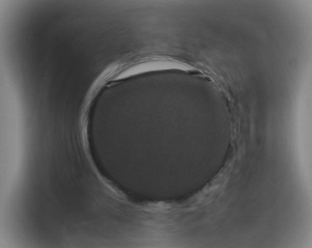 X0000113950197200910021512