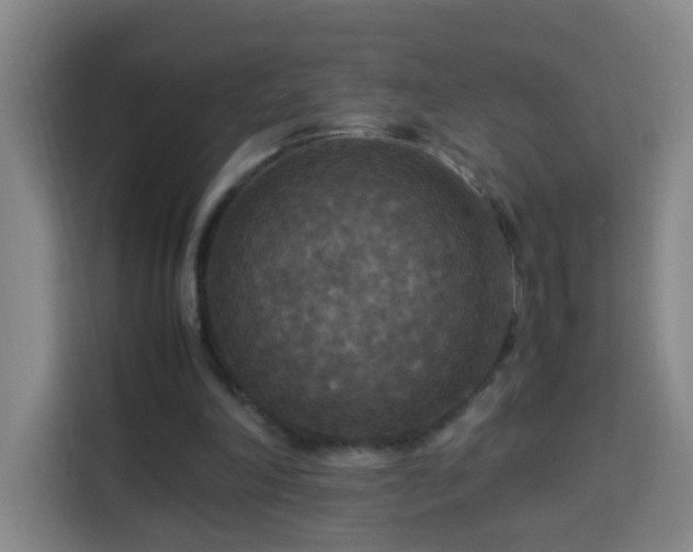 X0000113950198200910021512