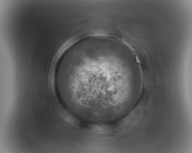 X0000113950199200910021512