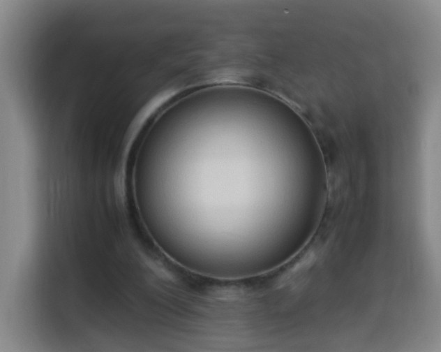 X0000113950200200910021512