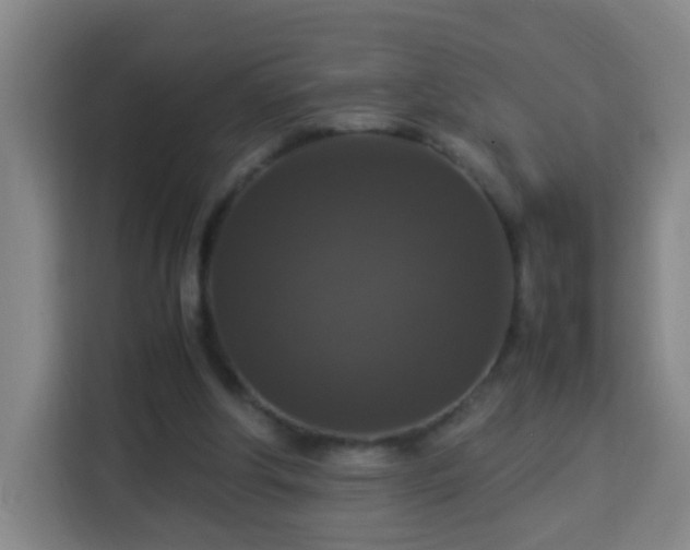 X0000113950202200910021512