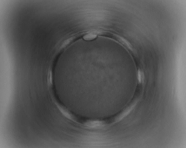 X0000113950205200910021512