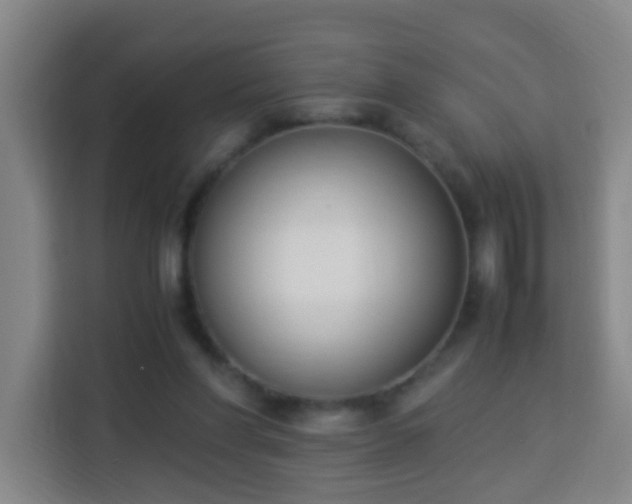 X0000113950206200910021512