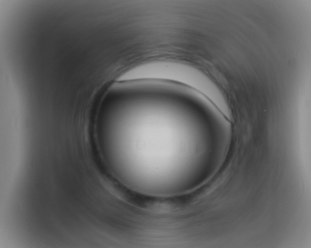 X0000113950209200910021512