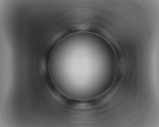 X0000113950212200910021512