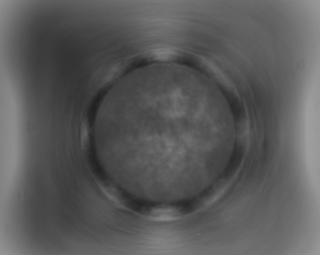 X0000113950213200910021512