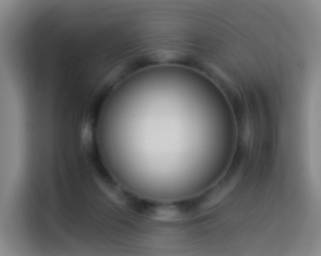 X0000113950214200910021512