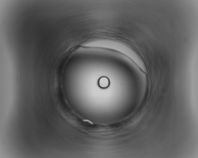 X0000113950215200910021512