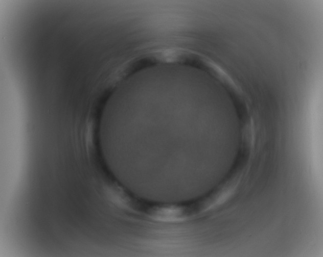 X0000113950217200910021512