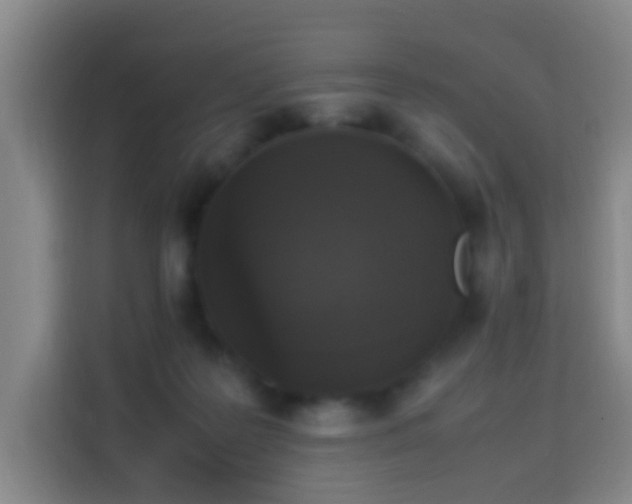 X0000113950219200910021512