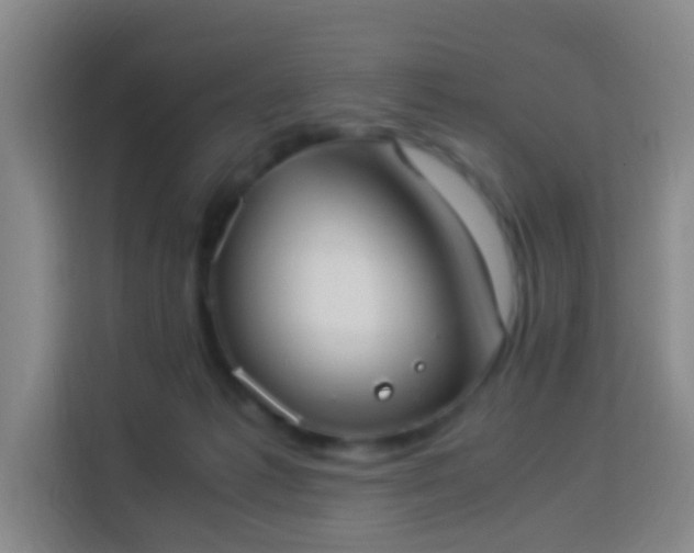 X0000113950221200910021512