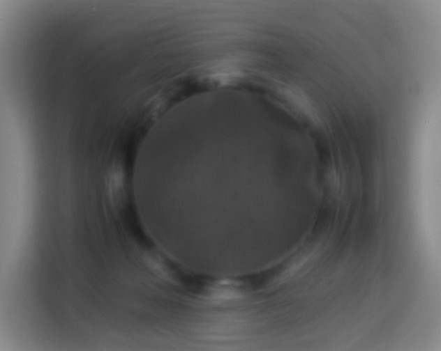 X0000113950222200910021512