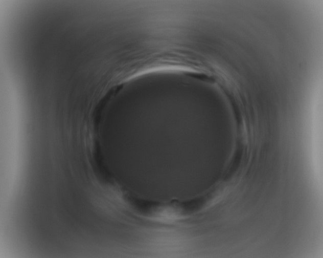 X0000113950223200910021512