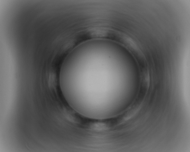 X0000113950224200910021512