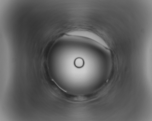 X0000113950225200910021512
