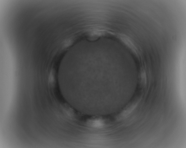 X0000113950228200910021512