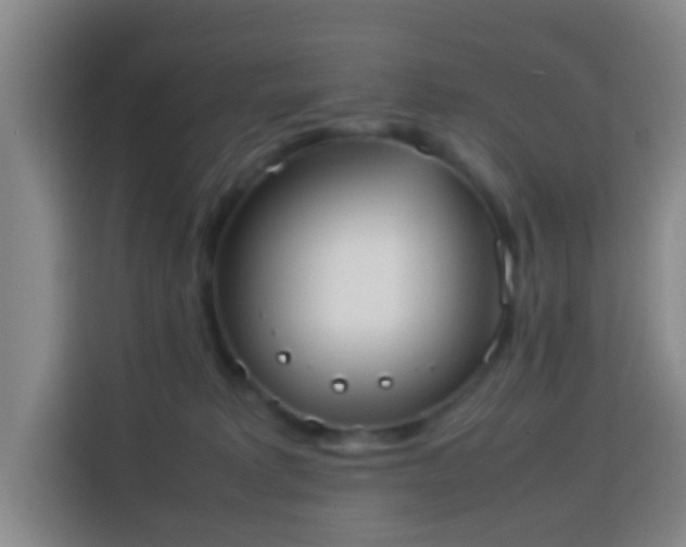 X0000113950229200910021512