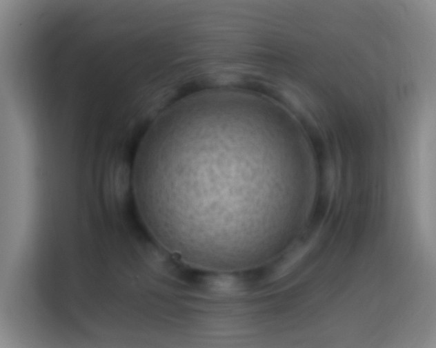 X0000113950230200910021512