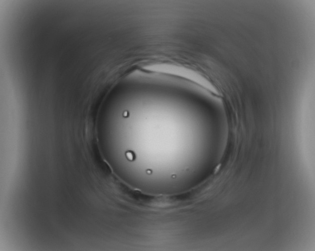 X0000113950231200910021512