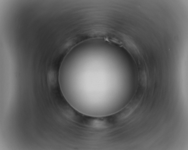 X0000113950232200910021512