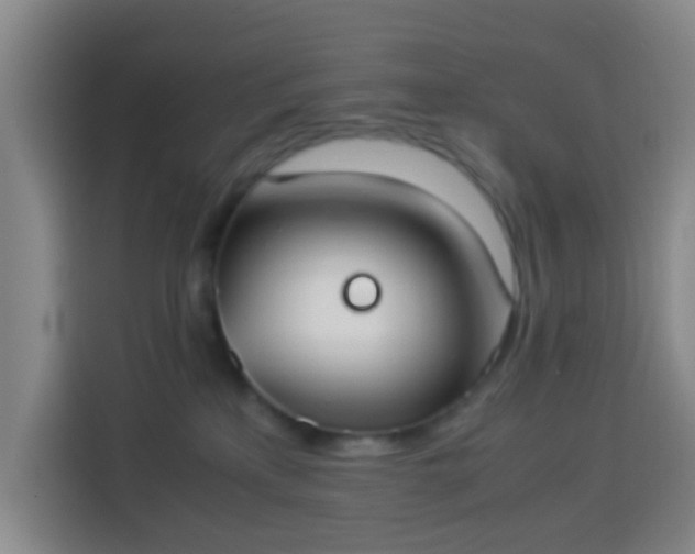 X0000113950233200910021512