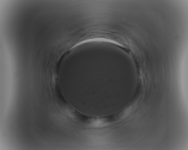 X0000113950235200910021512