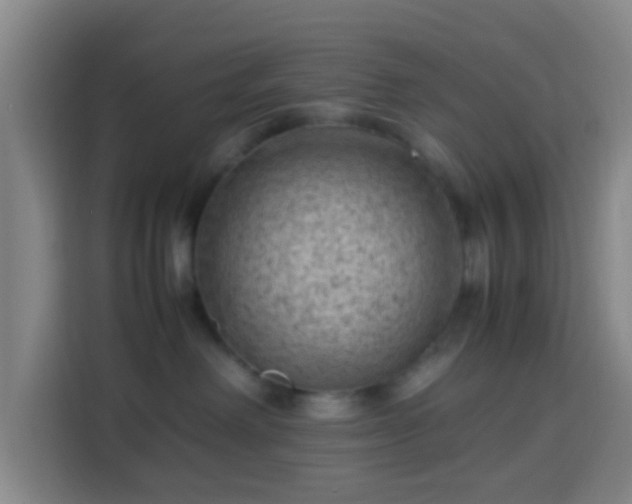 X0000113950238200910021512