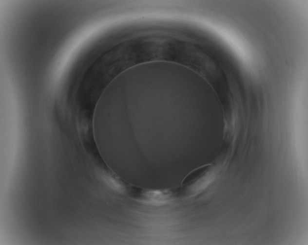 X0000113950239200910021512