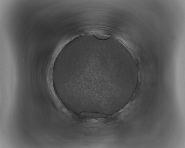 X0000113950241200910021511