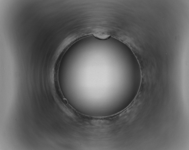 X0000113950242200910021511