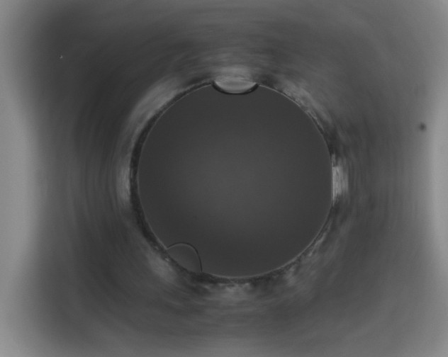 X0000113950243200910021511