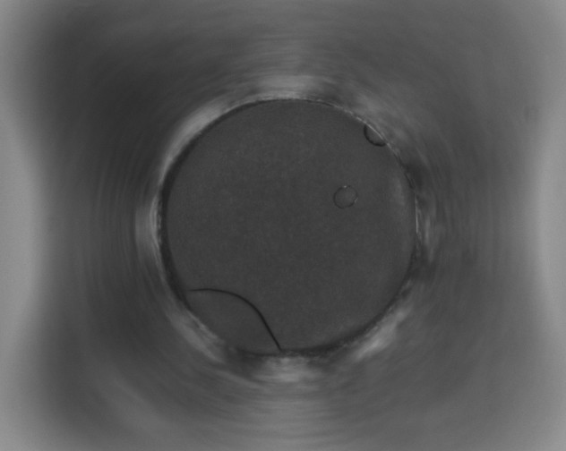 X0000113950244200910021511