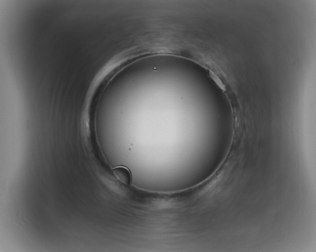 X0000113950246200910021511