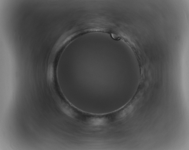 X0000113950247200910021511