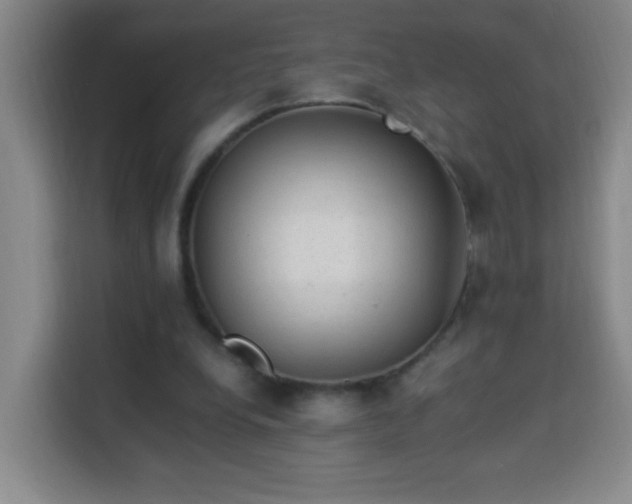 X0000113950248200910021511