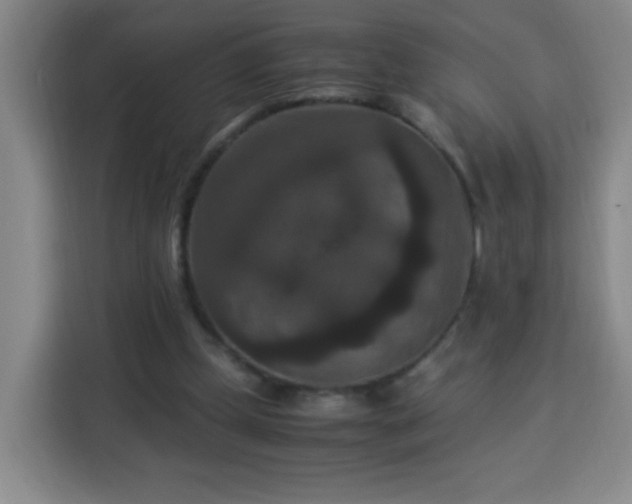 X0000113950249200910021511