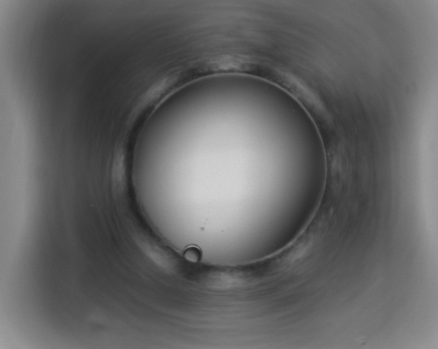 X0000113950250200910021511
