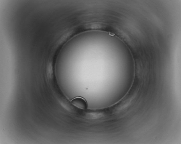 X0000113950251200910021511