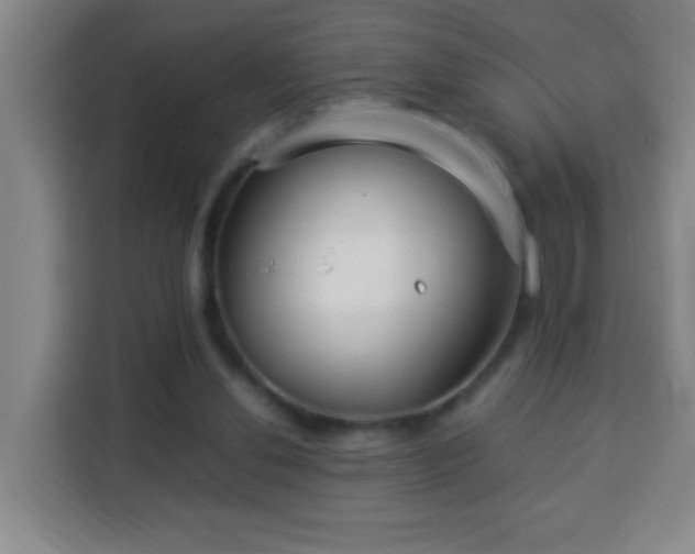 X0000113950252200910021511
