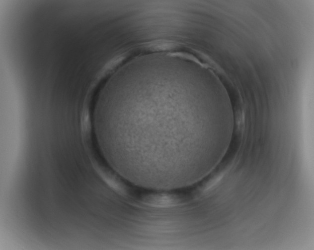 X0000113950254200910021511