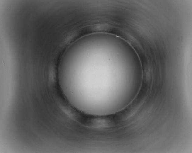 X0000113950255200910021511