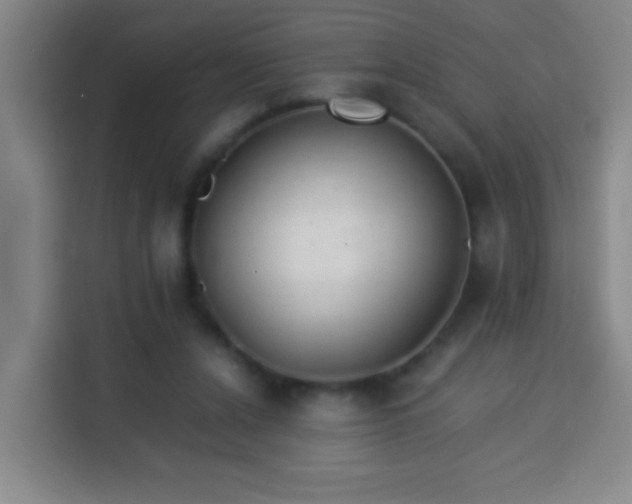 X0000113950256200910021511