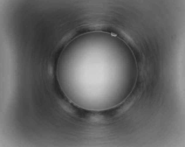 X0000113950258200910021511