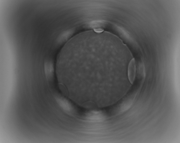 X0000113950260200910021511