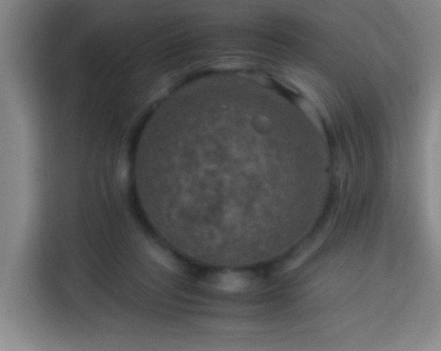 X0000113950261200910021511