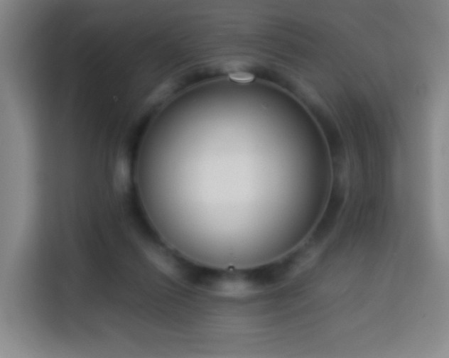 X0000113950262200910021511