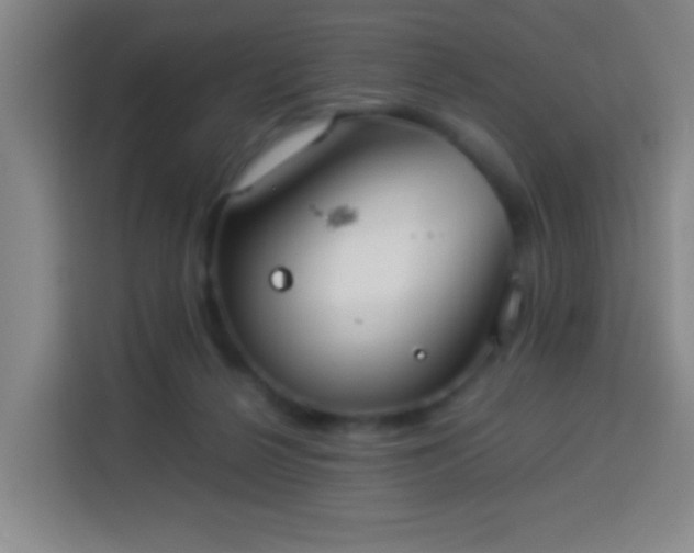 X0000113950264200910021511