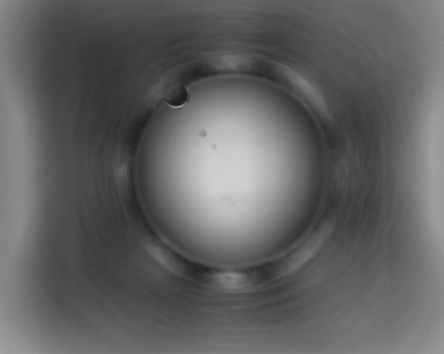 X0000113950265200910021511