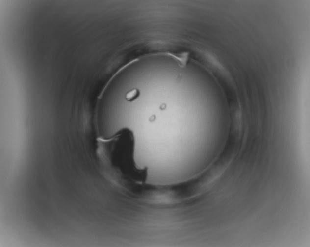 X0000113950266200910021511