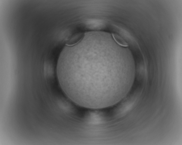 X0000113950268200910021511